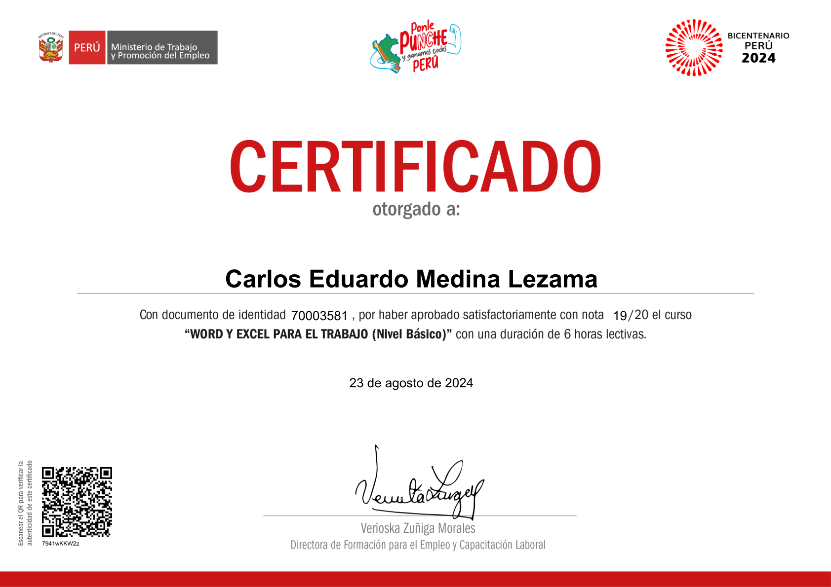 Word y Excel para el trabajo - MTPE - Carlos Eduardo Medina Lezama